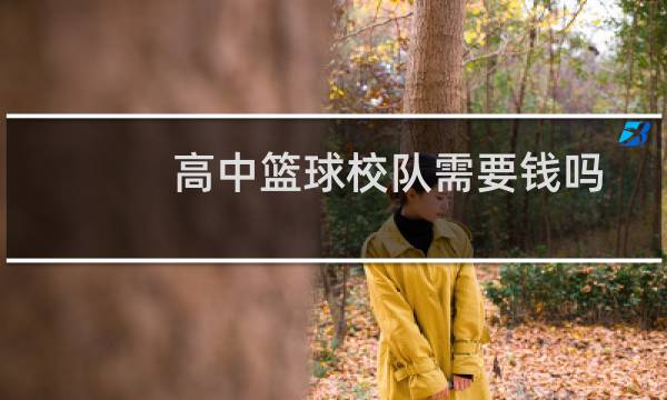 高中篮球校队需要钱吗图片
