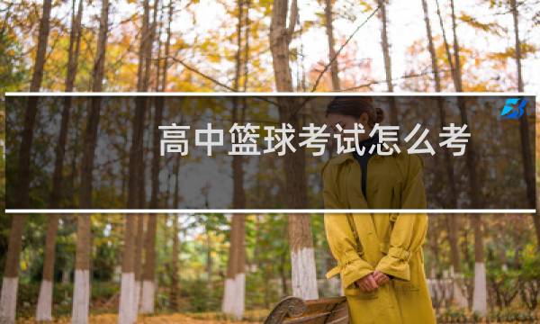 高中篮球考试怎么考图片