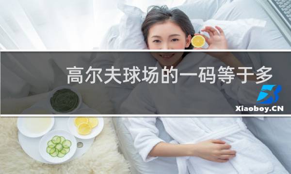 高尔夫球场的一码等于多少米图片