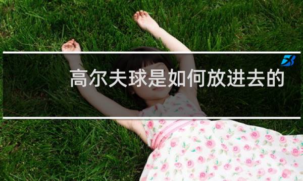 高尔夫球是如何放进去的图片