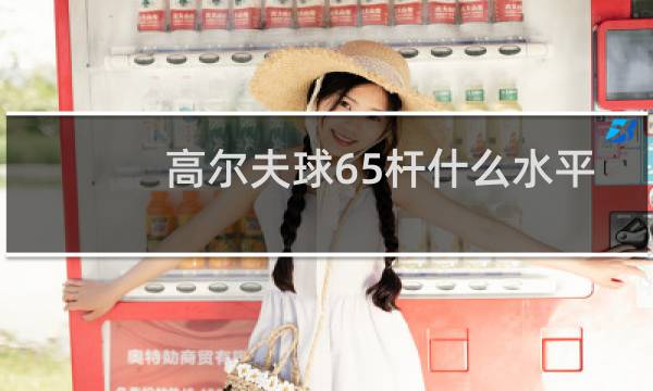 高尔夫球65杆什么水平图片