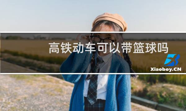 高铁动车可以带篮球吗图片