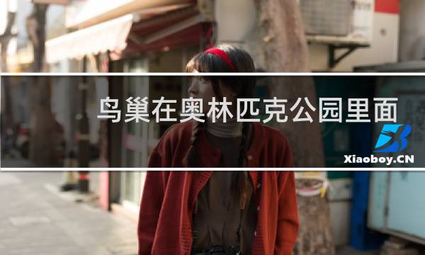 鸟巢在奥林匹克公园里面吗图片