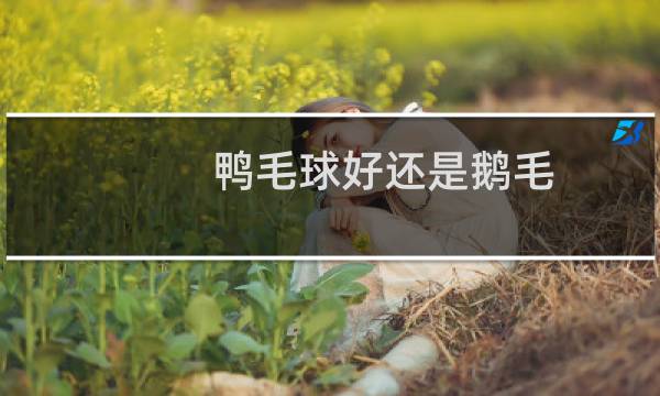 鸭毛球好还是鹅毛图片