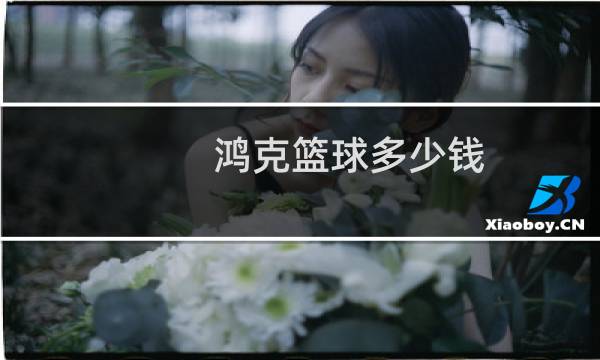 鸿克篮球多少钱图片