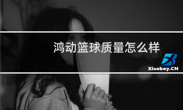 鸿动篮球质量怎么样图片