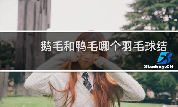 鹅毛和鸭毛哪个羽毛球结实图片