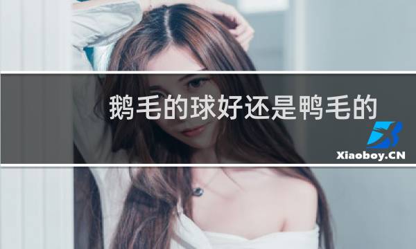 鹅毛的球好还是鸭毛的图片