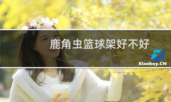 鹿角虫篮球架好不好图片