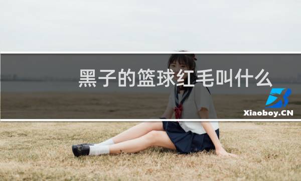 黑子的篮球红毛叫什么图片