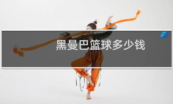 黑曼巴篮球多少钱图片