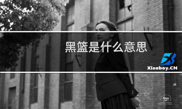 黑篮是什么意思图片