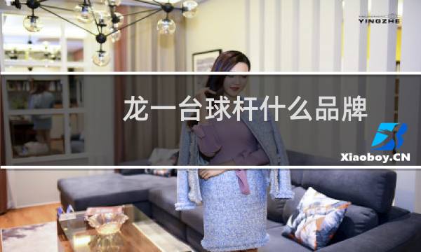 龙一台球杆什么品牌图片