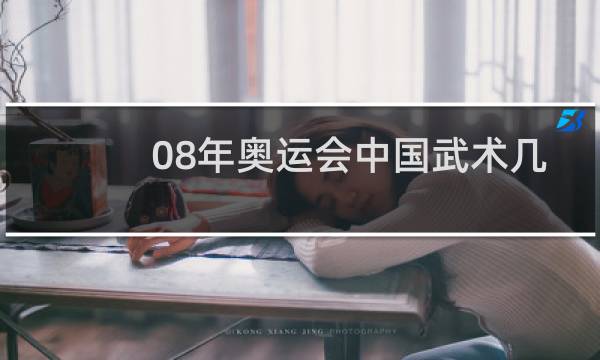 08年奥运会中国武术几枚金牌图片