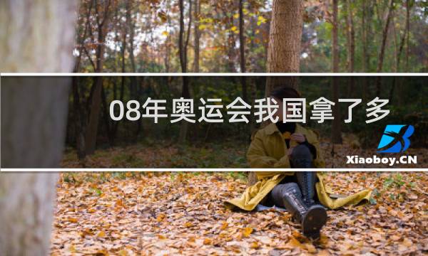 08年奥运会我国拿了多少奖牌图片
