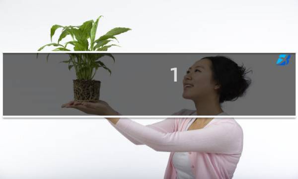 1.5号pu篮球多大图片