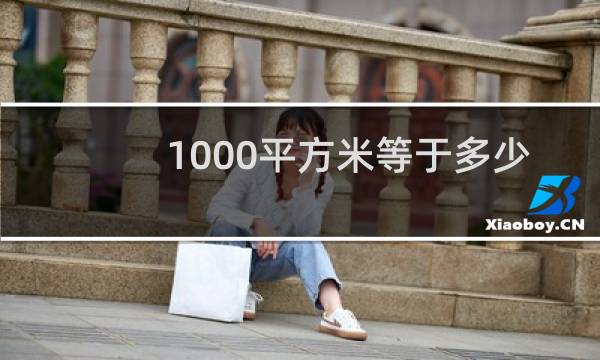 1000平方米等于多少个篮球场图片