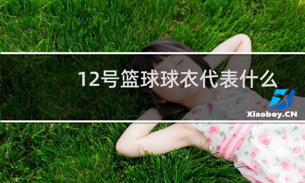 12号篮球球衣代表什么图片