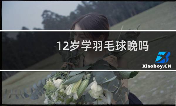 12岁学羽毛球晚吗图片