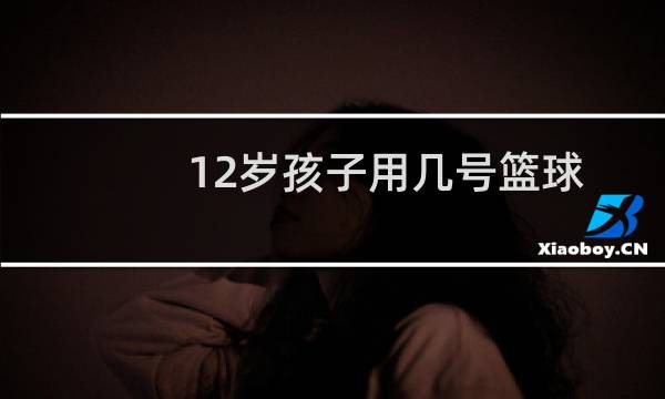 12岁孩子用几号篮球图片