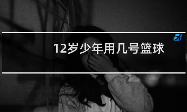 12岁少年用几号篮球图片