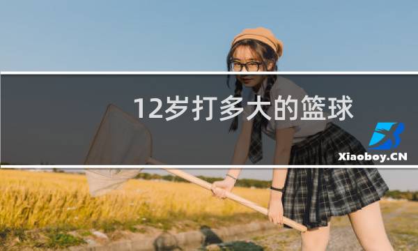 12岁打多大的篮球图片