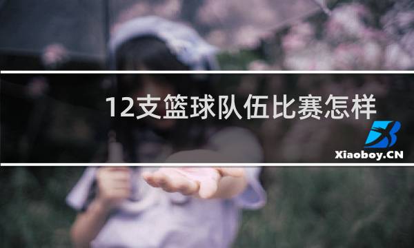 12支篮球队伍比赛怎样分配图片