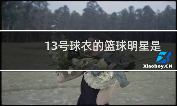 13号球衣的篮球明星是谁图片