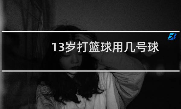 13岁打篮球用几号球图片