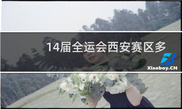 14届全运会西安赛区多少项目图片