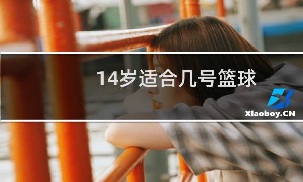14岁适合几号篮球图片