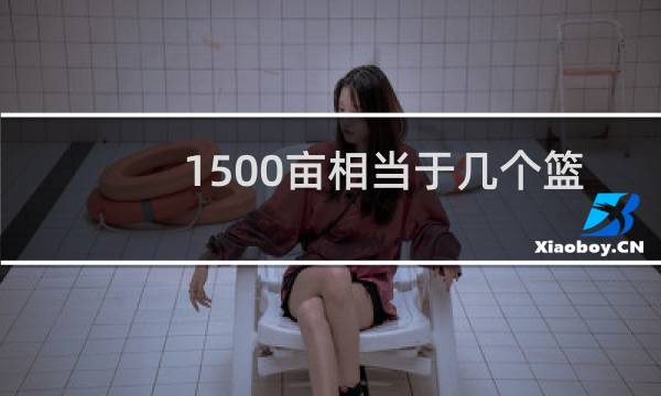 1500亩相当于几个篮球场图片