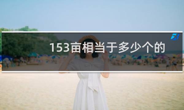 153亩相当于多少个的篮球场图片