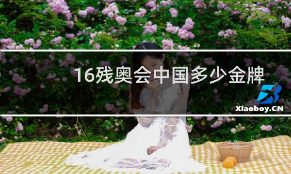 16残奥会中国多少金牌图片