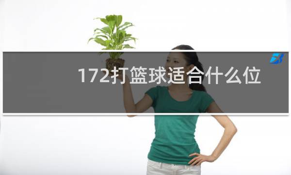 172打篮球适合什么位置图片