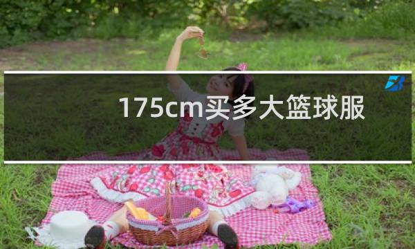175cm买多大篮球服图片