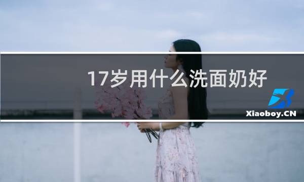 17岁用什么洗面奶好 - 十七八岁女孩用什么洗面奶好