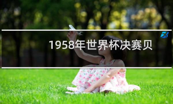 1958年世界杯决赛贝利进了几个球图片