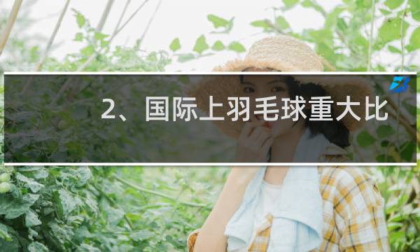 2、国际上羽毛球重大比赛有哪些图片