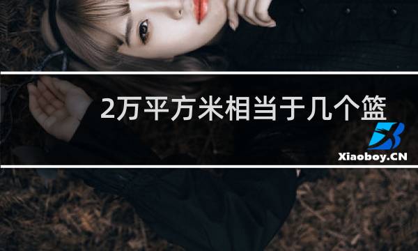 2万平方米相当于几个篮球场图片
