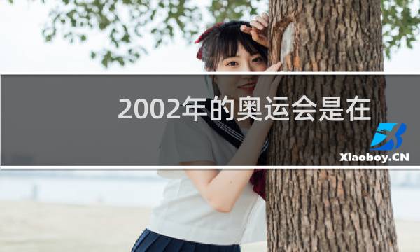 2002年的奥运会是在哪举办的图片
