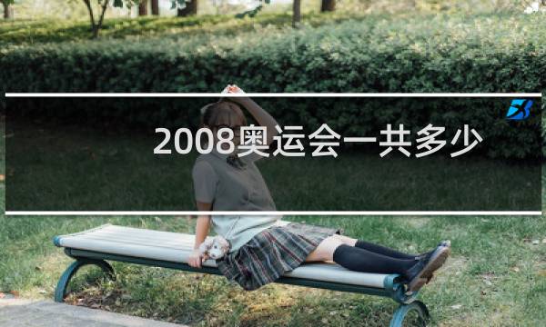 2008奥运会一共多少金牌图片