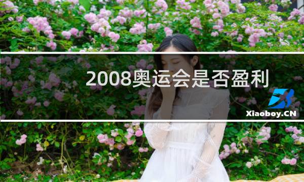2008奥运会是否盈利图片