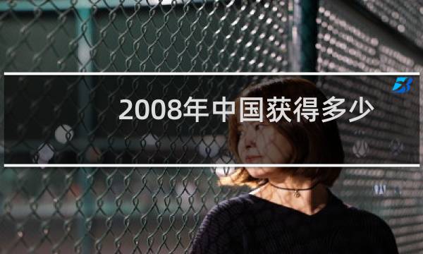 2008年中国获得多少枚金牌图片
