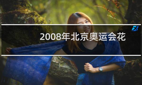 2008年北京奥运会花了多少钱图片