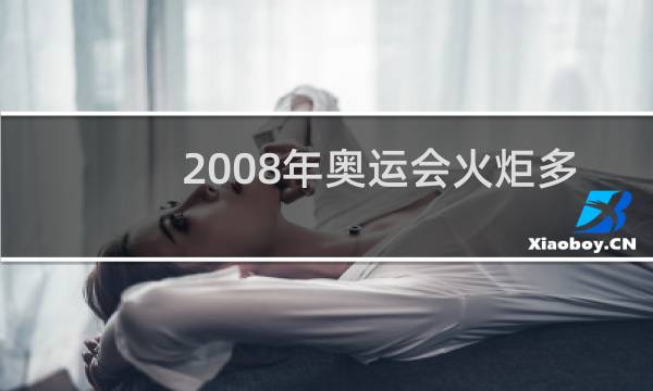2008年奥运会火炬多少钱图片
