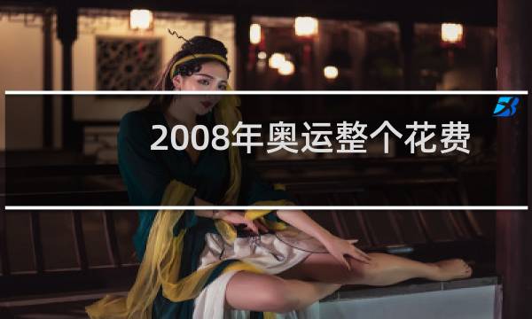 2008年奥运整个花费多少图片