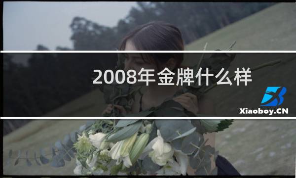 2008年金牌什么样图片