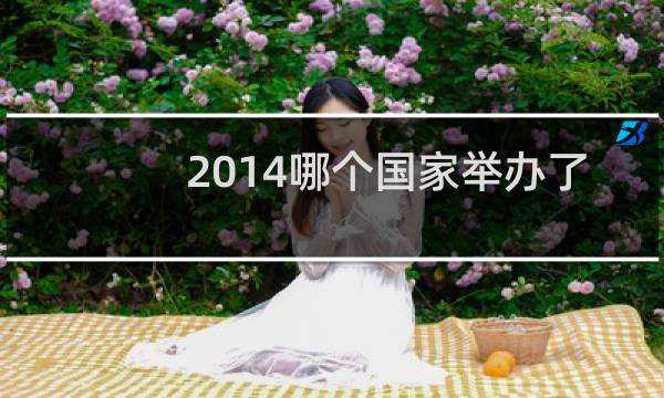 2014哪个国家举办了奥运会图片