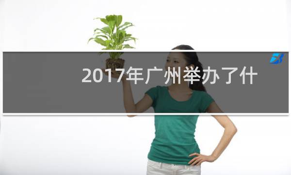 2017年广州举办了什么运动会图片